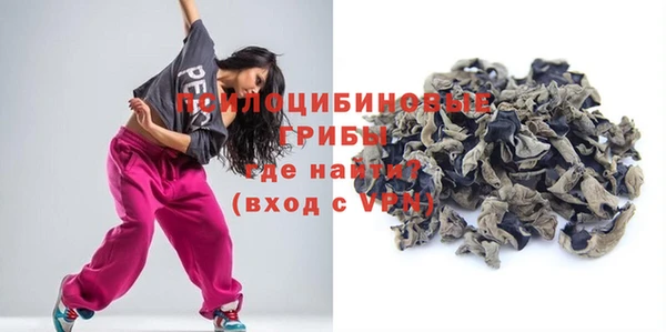 гашик Баксан
