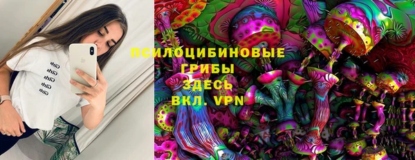 гашик Баксан