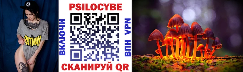 Галлюциногенные грибы мицелий  Новоржев 