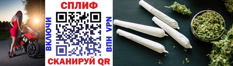 даркнет сайт  блэк спрут ссылки  мориарти Telegram  Новоржев  Шишки марихуана гибрид 